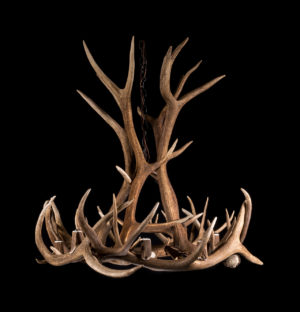 Real Antler Chandeliers Highest Quality, Antler Chandeliers And Lighting Company