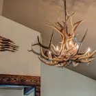 Snowcrest Elk Antler Chandelier installed in a home entryway
