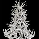 6 tier whitetail antler chandelier in bleached white antler finish on a black background, unlit, showing the alternate color option