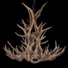 Salish Elk & Mule Deer Antler Chandelier alternate studio angle on a black background
