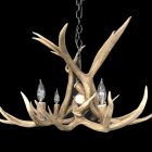 Osprey Mule Deer Antler Chandelier studio shot with four lit bulbs