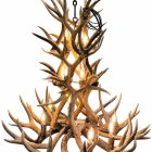 Cascade 3-Tier real mule deer antler chandelier lit with warm Edison bulbs on black chain