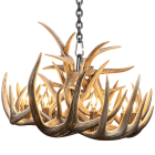Single Tier Sphinx Whitetail Antler Chandelier front view showing six lights and densely stacked antlers