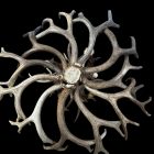 Deerlodge mule deer antler chandelier in bleached white finish, overhead view of antler arrangement