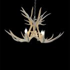 Osprey Mule Deer Antler Chandelier in bleached white finish with four lit bulbs