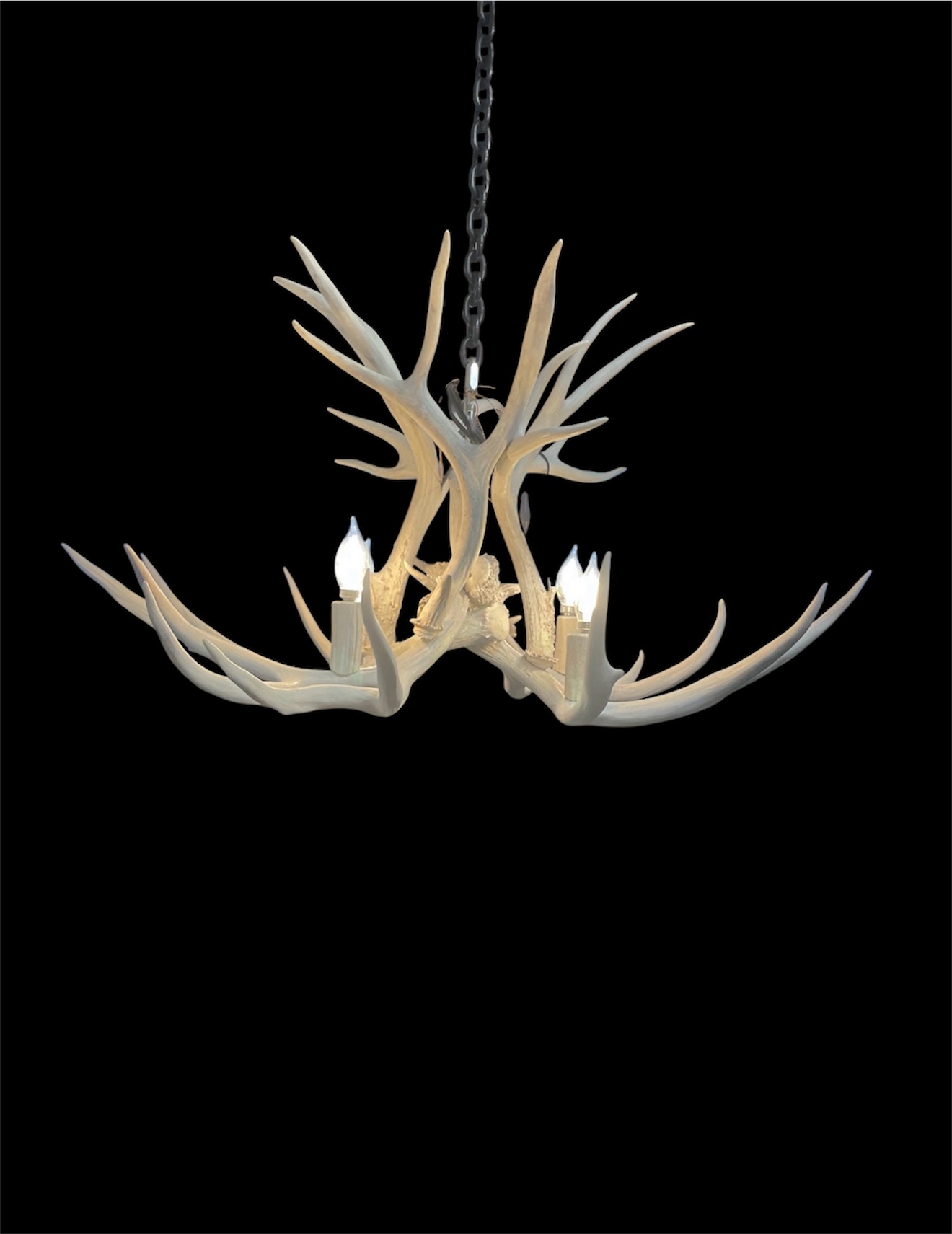 Osprey Mule Deer Antler Chandelier in bleached white finish with four lit bulbs