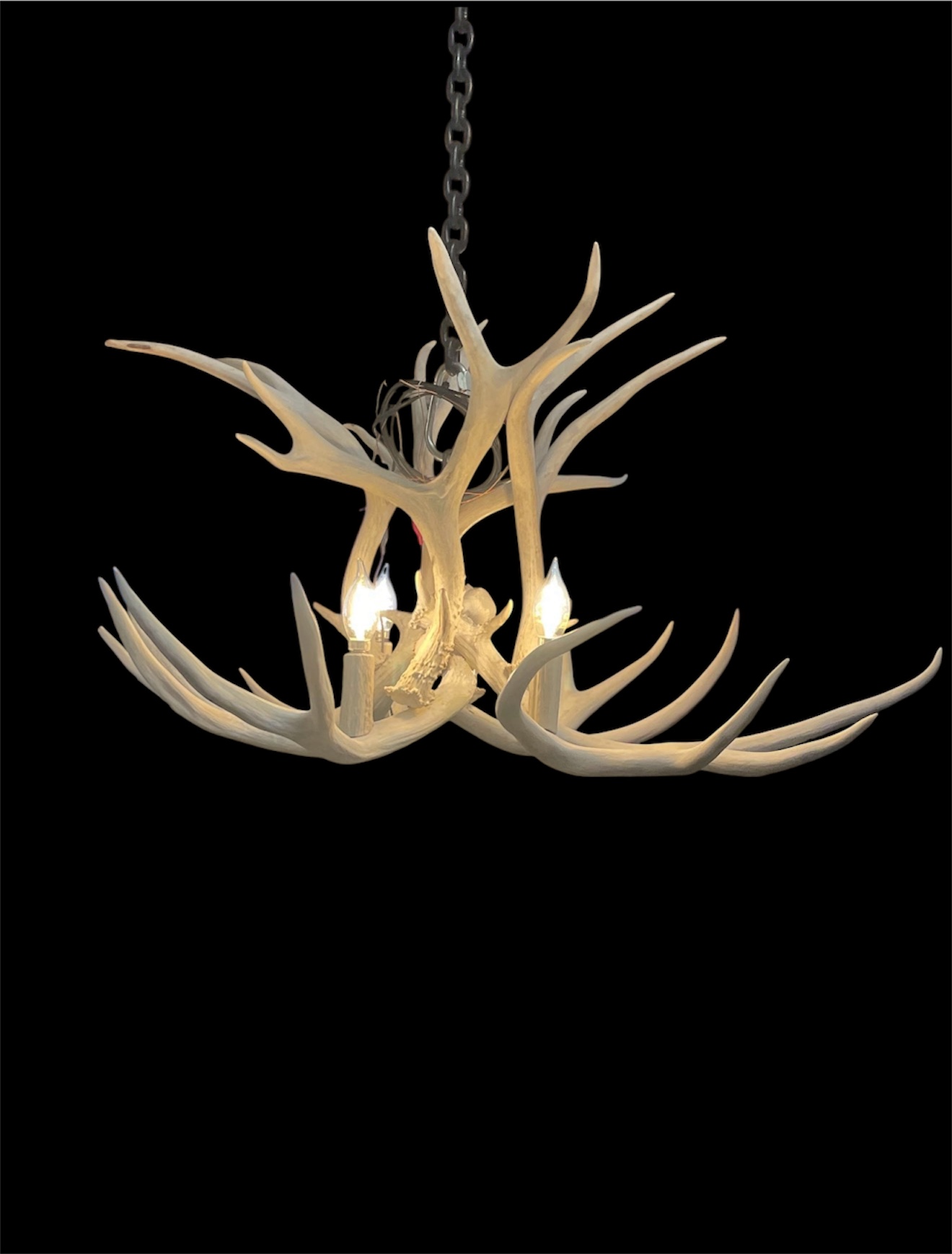 Detail view of the Osprey Mule Deer Antler Chandelier mule deer antlers in bleached white finish