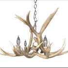 Osprey Mule Deer Antler Chandelier in natural finish on white background