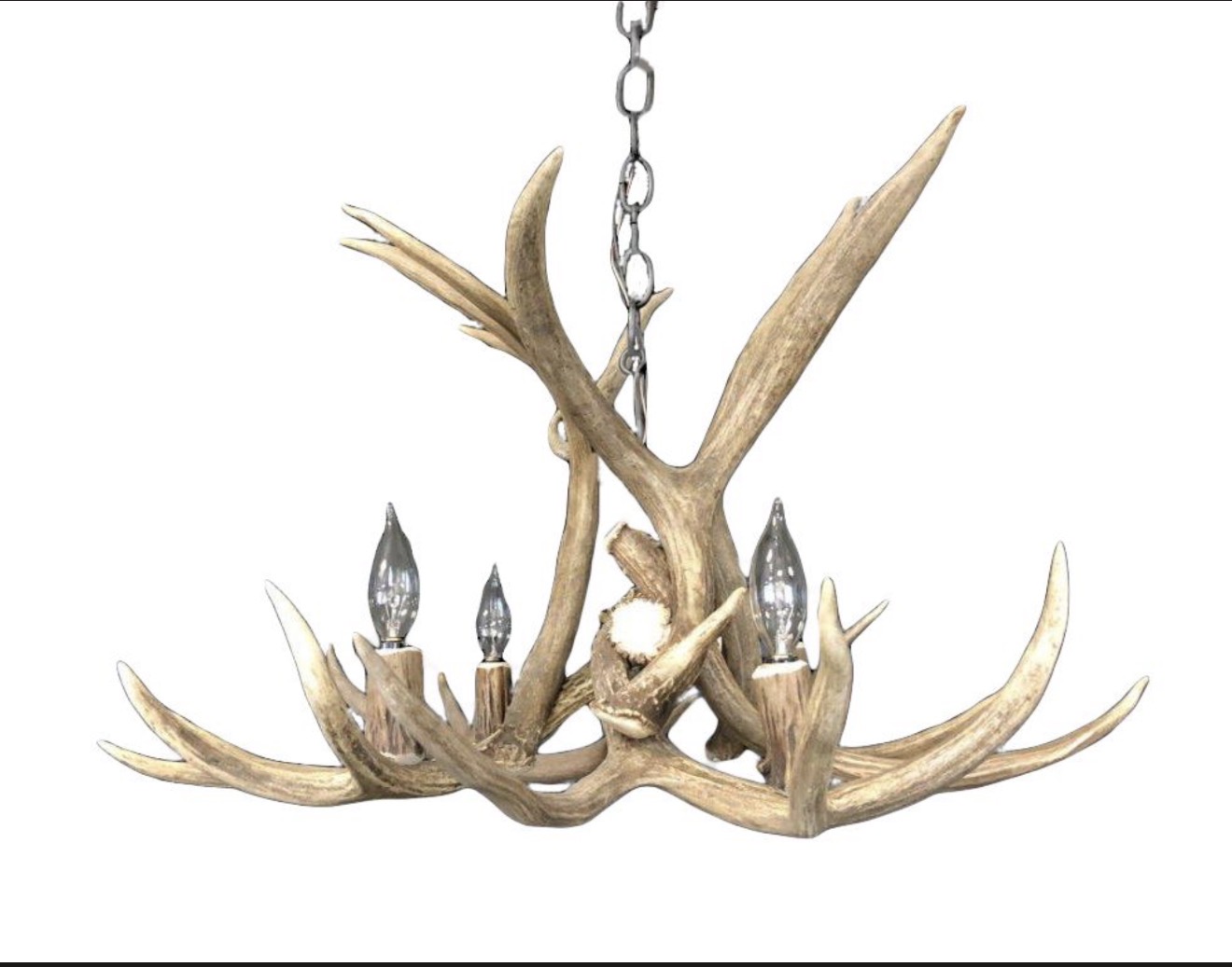 Osprey Mule Deer Antler Chandelier in natural finish on white background