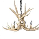 Close-up of the Osprey Mule Deer Antler Chandelier antlers in natural finish