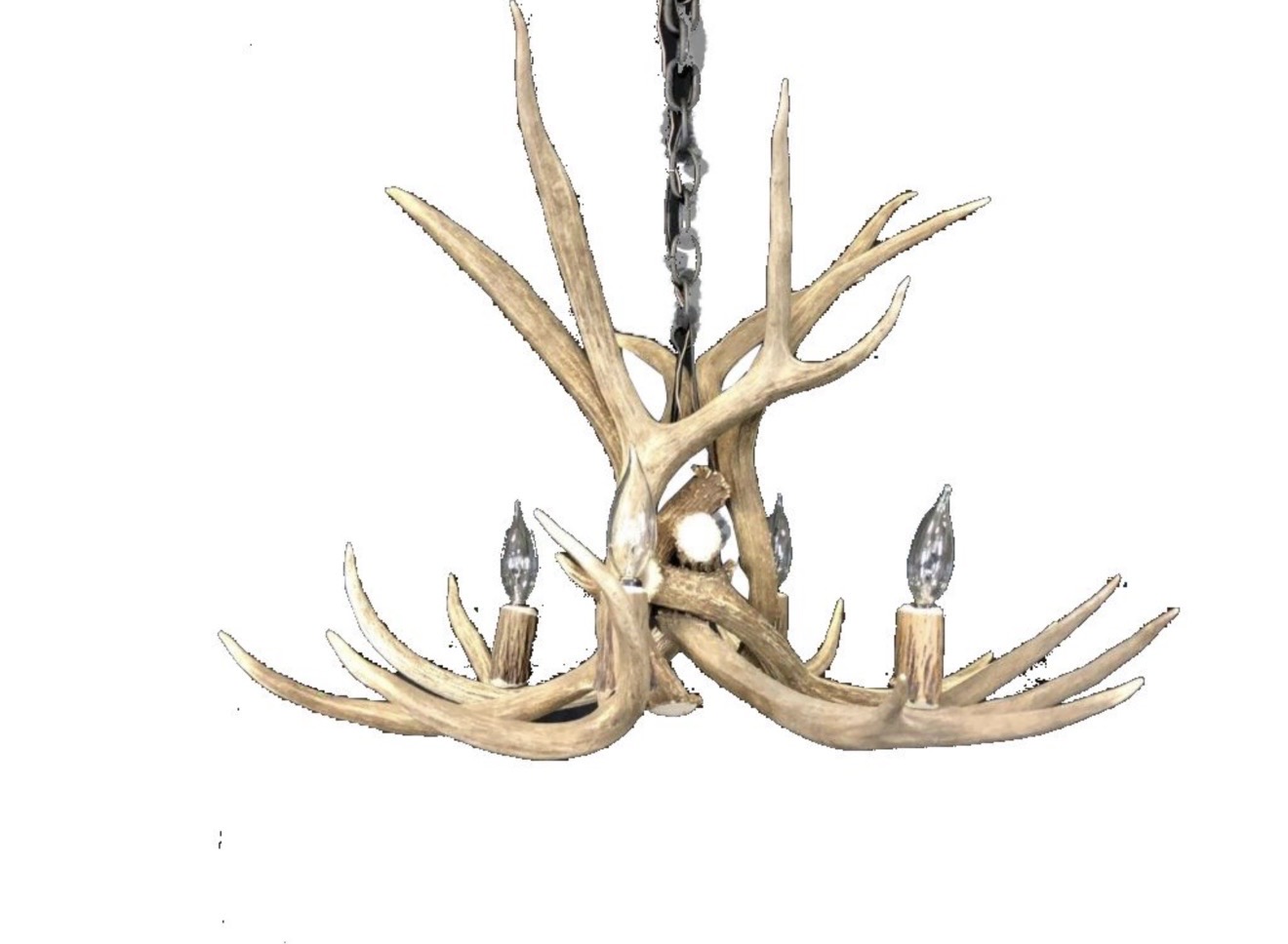 Close-up of the Osprey Mule Deer Antler Chandelier antlers in natural finish