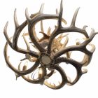 Top-down view of the Sphinx Whitetail Antler Chandelier showing fourteen antlers stacked in two tiers