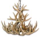 Sphinx Whitetail Antler Chandelier full catalog view with hanging chain on a white background