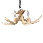Fawn Whitetail Antler Chandelier in bleached white finish on a white background
