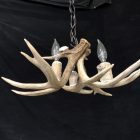 Fawn Whitetail Antler Chandelier detail view showing three whitetail antlers and chain mount