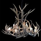 Gallatin Elk and Mule Deer Antler Chandelier lit from the front showing fourteen candle-style lights