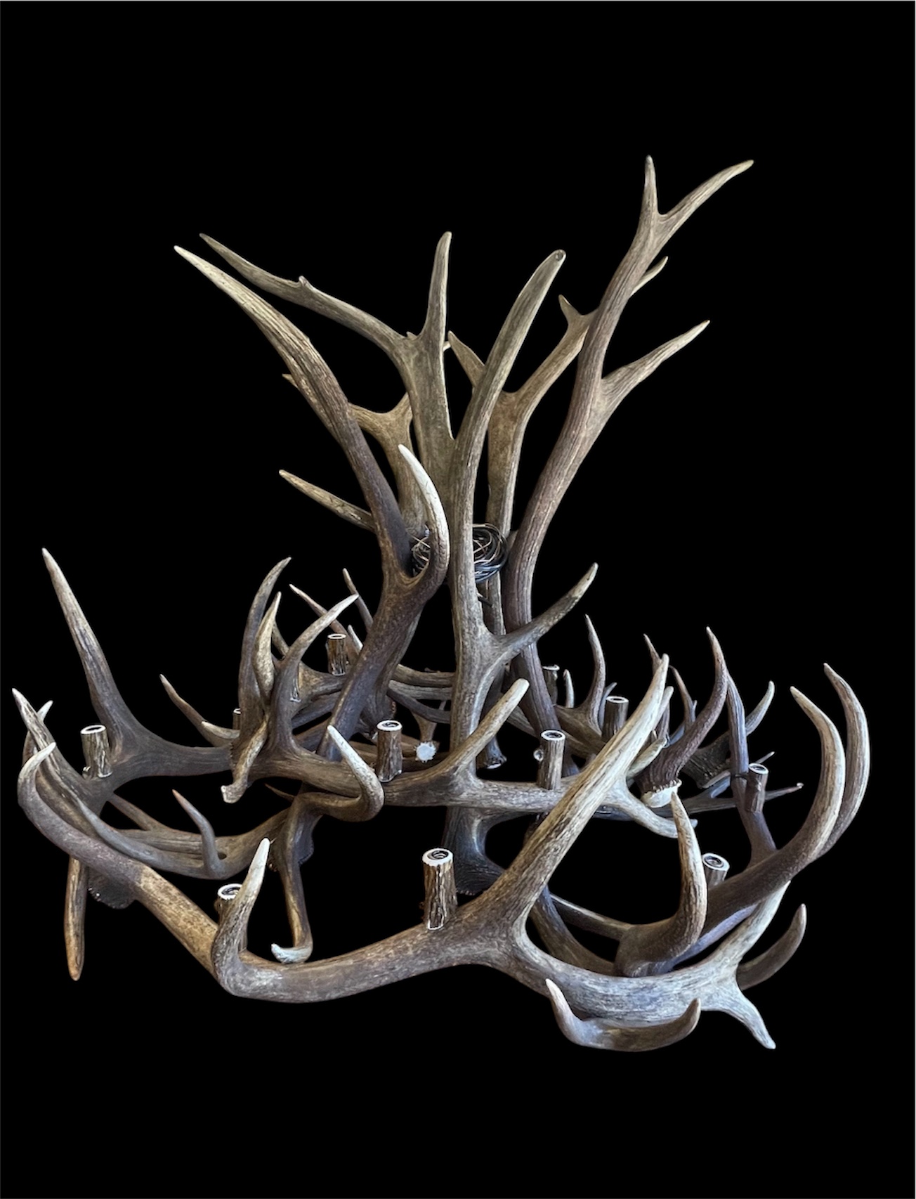 Gallatin Elk and Mule Deer Antler Chandelier shown from below with mounting chain and wiring visible