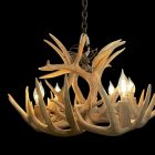 Single Tier Sphinx Whitetail Antler Chandelier lit studio photo on a black background