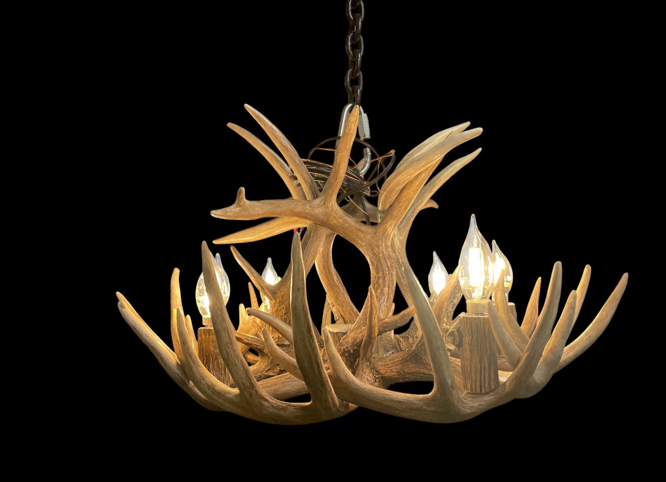Single Tier Sphinx Whitetail Antler Chandelier lit studio photo on a black background