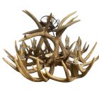 Single Tier Sphinx Whitetail Antler Chandelier catalog photo on a white background