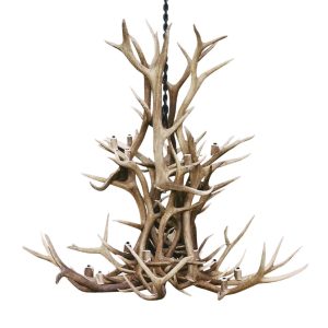 Selway 2-Tier Elk Antler Chandelier studio product photo on a white background