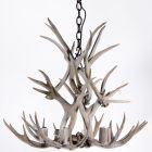 Aspen 2-tier mule deer antler chandelier in bleached white finish, studio photo