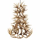 6 tier whitetail antler chandelier with 10 lights on a white background