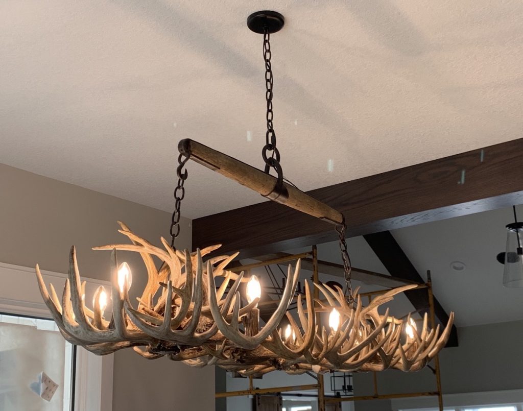 Custom shed antler chandelier made from a family's whitetail antler, hanging from their antique wooden yoke