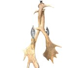 Heron Fallow Deer Antler Pendant Light 2-light fixture studio photo on white background