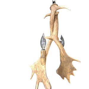 Heron Fallow Deer Antler Pendant Light 2-light fixture studio photo on white background
