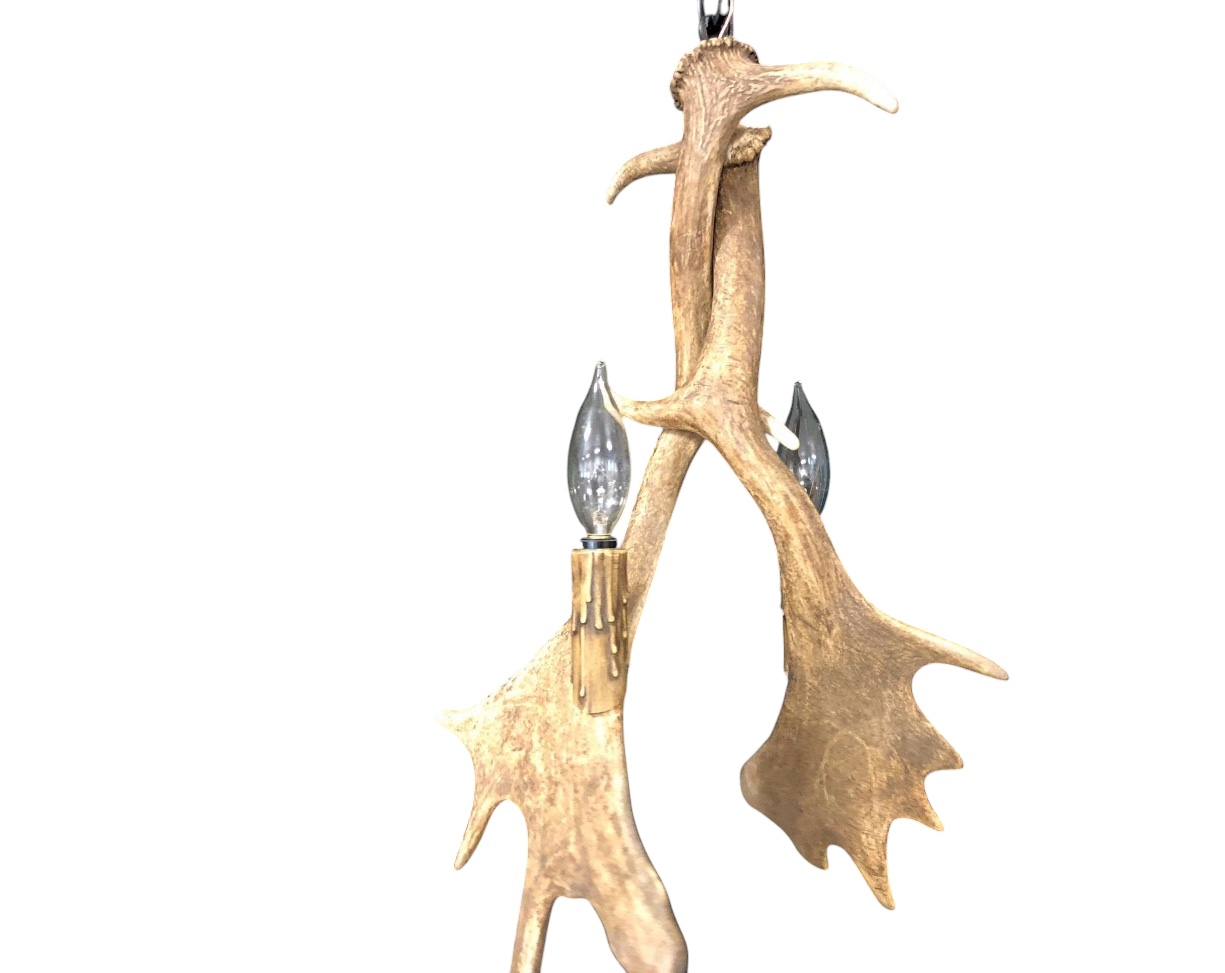 Heron Fallow Deer Antler Pendant Light - White Background Heron Fallow Deer Antler Pendant Light 2-light fixture studio photo on white background