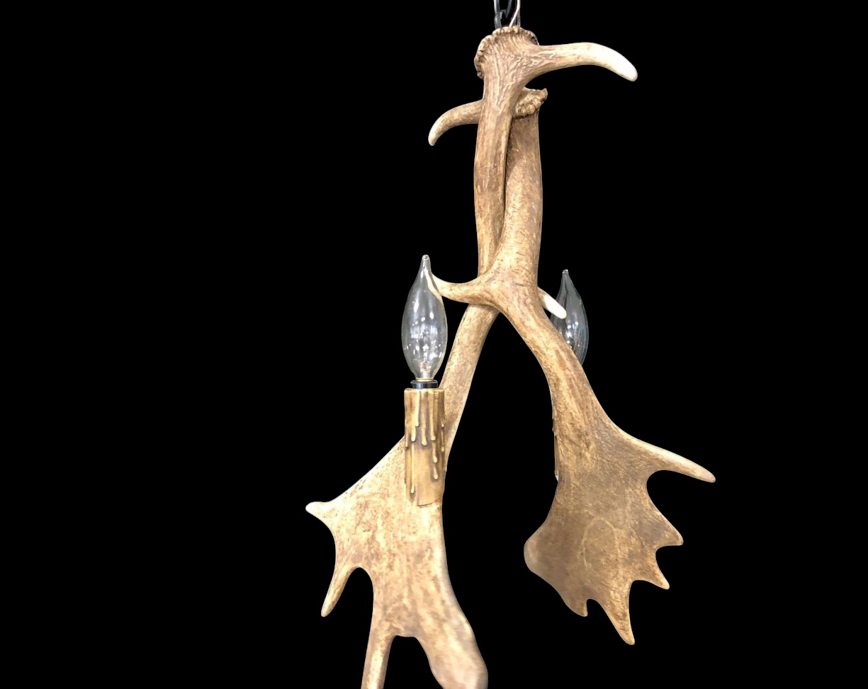 Heron Fallow Deer Antler Pendant Light 2-light fixture studio photo on black background