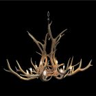 Snowcrest Elk Antler Chandelier studio photo on black background