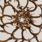 Underview looking up into the six interlocking antler tiers of the XL 6 Tier Whitetail Antler Chandelier