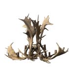 Glacier Single Tier Fallow Antler Chandelier close studio photo on a white background