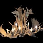 Glacier Single Tier Fallow Antler Chandelier illuminated with eight warm lights on a black background
