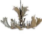 Glacier Single Tier Fallow Antler Chandelier studio photo on a white background showing the palmated antler design