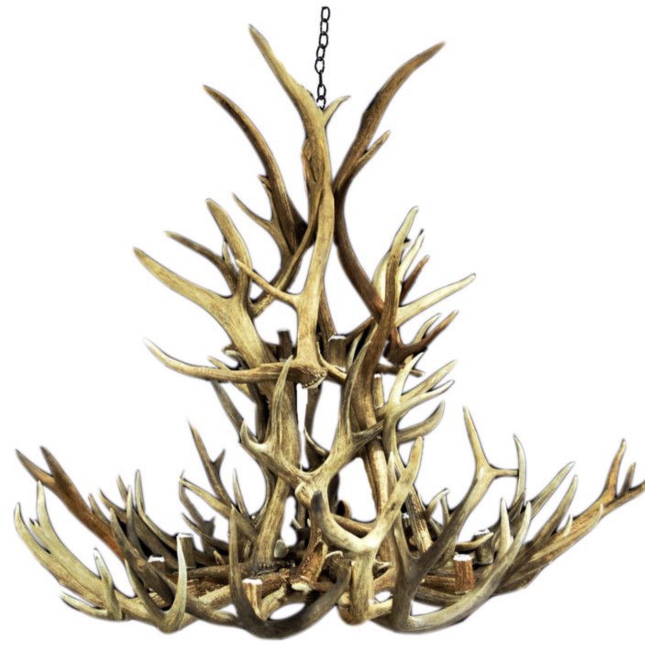 Salish Mixed Elk and Mule Deer Antler Chandelier Salish mixed-species chandelier made from elk and mule deer antlers