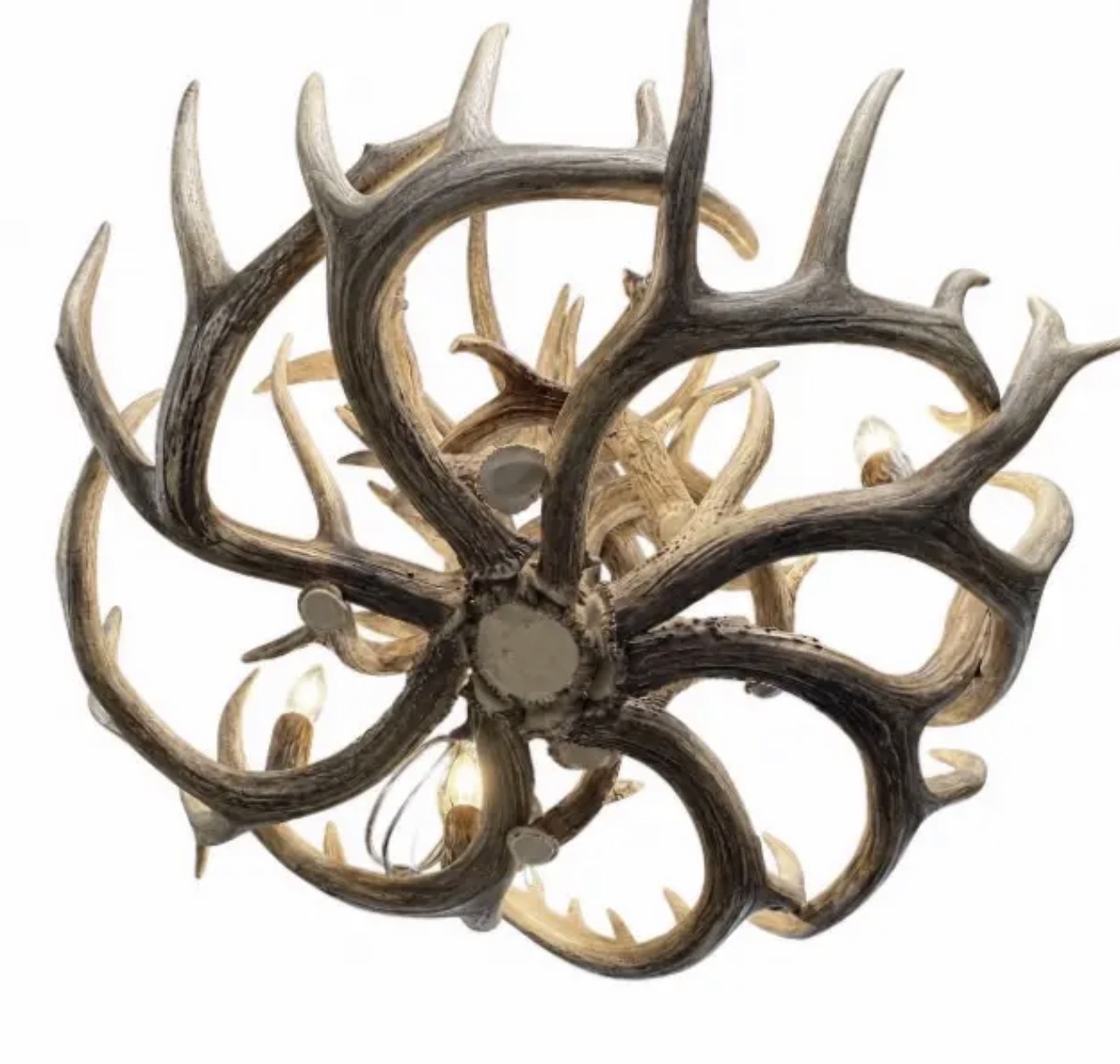 Whitetail Antler Chandelier — Main Beam and Tine Detail Whitetail chandelier viewed from below, showing curved main beams and individual tines
