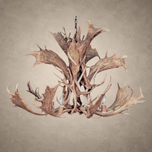 2 tier fallow and mule deer antler chandelier with palmated fallow antler and mule deer tines around candle-style bulbs, hanging from an iron chain