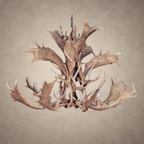 Fallow Deer Antler Chandelier