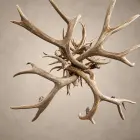 Underside view of the Aspen mule deer antler chandelier showing how the antlers are woven together