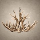 6 light mule deer antler chandelier shown without bulbs to highlight the antler shape