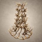 6 tier whitetail antler chandelier in natural antler finish, six stacked tiers of whitetail deer antler in a tall tree-like silhouette