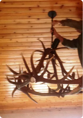 Antler chandelier mounted on a rustic wood-plank vaulted ceiling, viewed from below
