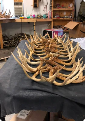 Large antler chandelier frame with tines splayed outward, assembled on a workshop table before final wiring