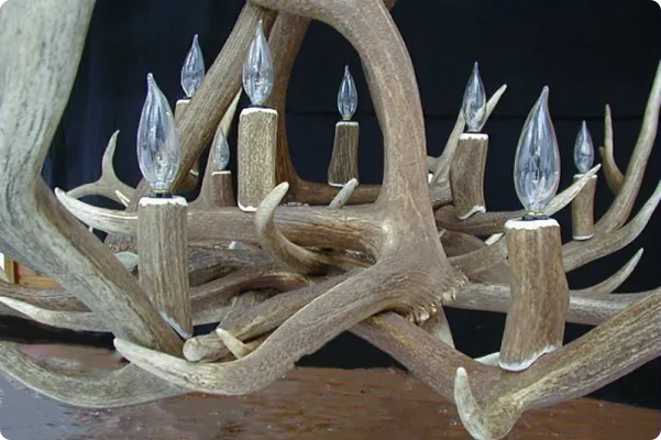 Close-up of an antler chandelier showing natural antler texture and candle-style bulb fixtures