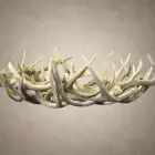 Side view of a wide, low mule deer antler bowl centerpiece