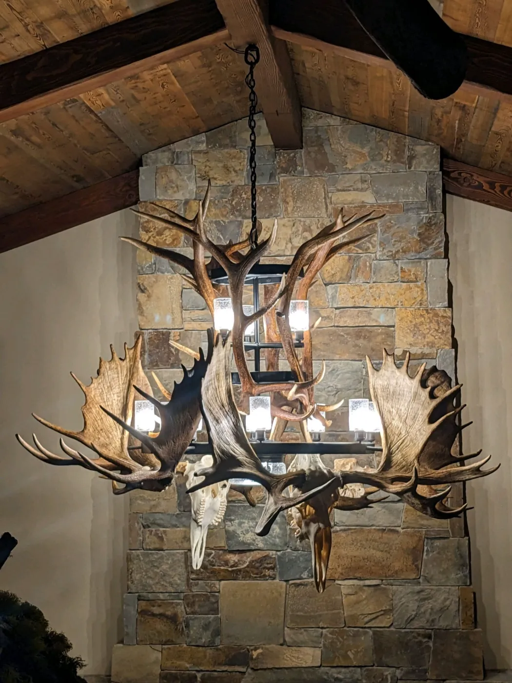 Large moose and elk antler chandelier with illuminated candle-style bulbs mounted against a stone wall
