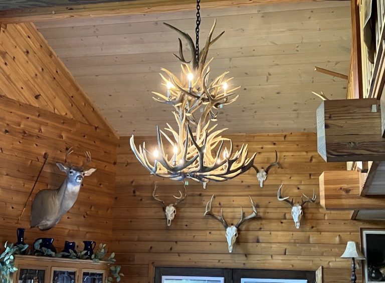 Custom 12-light elk, mule deer and whitetail antler chandelier in a pine lodge